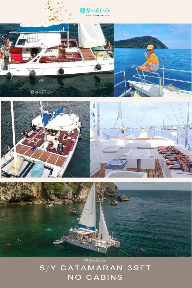 S/Y Catamaran 39 — Day Boat — photo 2