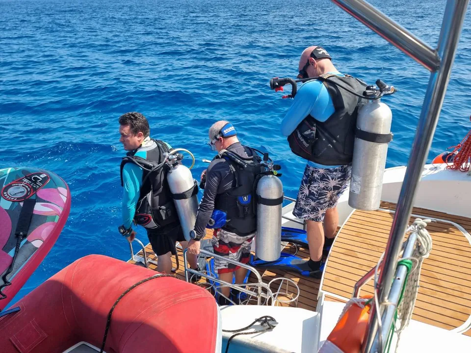 Dive, Snorkel & Water Toys — photo 4