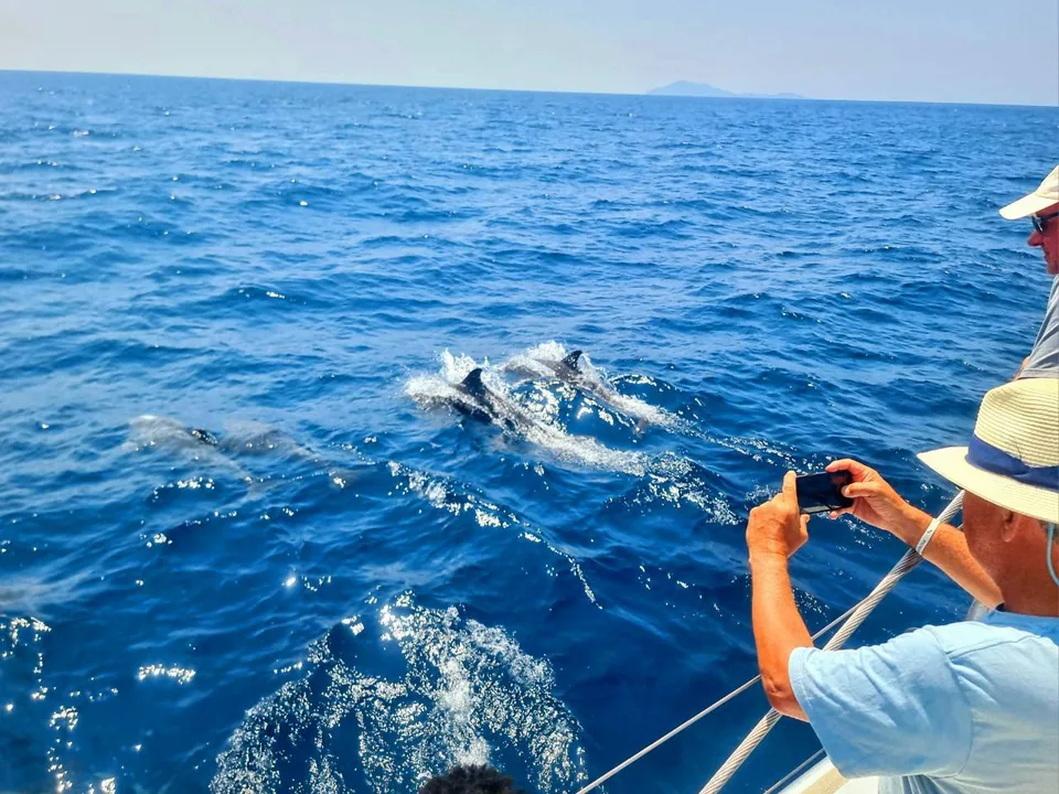 Wildlife & Open Sea — photo 3