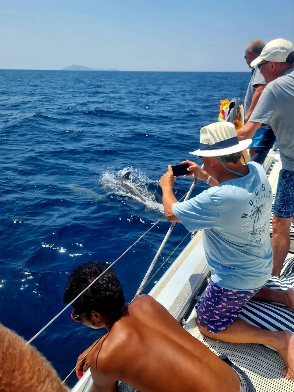 Wildlife & Open Sea — photo 4