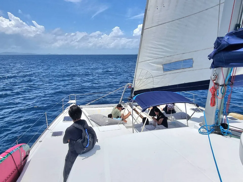 Wildlife & Open Sea — photo 9